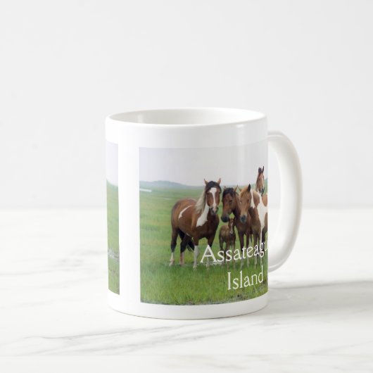 Mok voor paarden in de "Assateague Island" (Voorkant rechts)