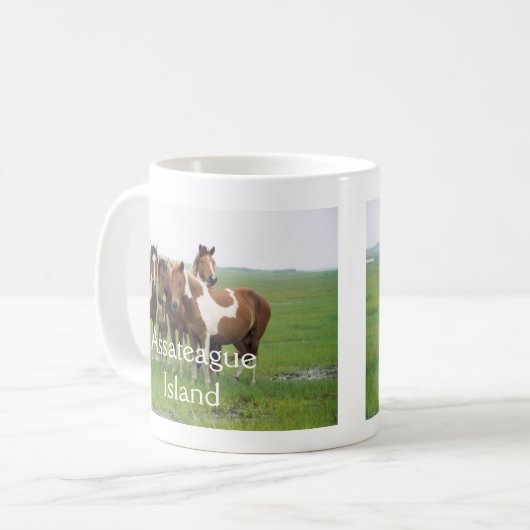 Mok voor paarden in de "Assateague Island" (Voorkant links)