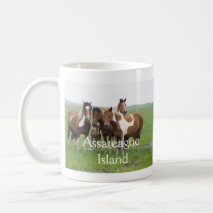 Mok voor paarden in de "Assateague Island"