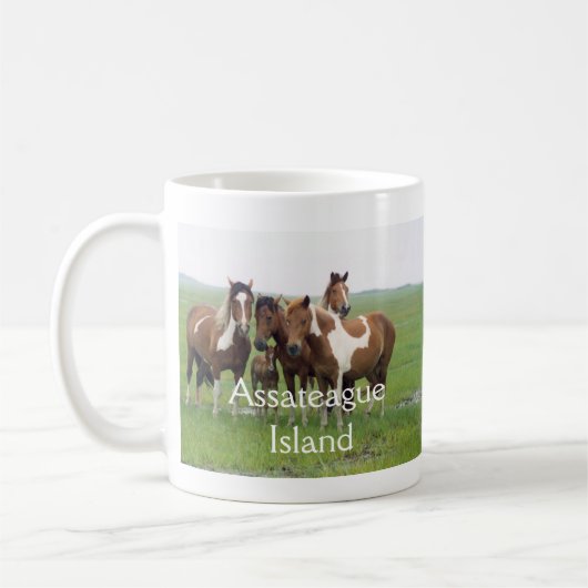 Mok voor paarden in de "Assateague Island" (Links)