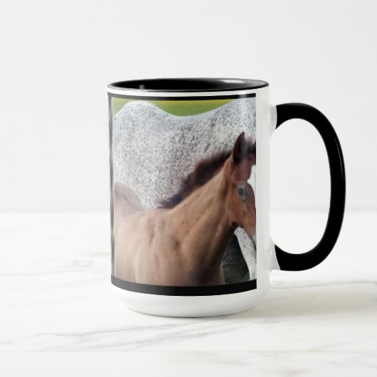 Mok voor paardenfokkerij (Rechts)