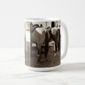 Mok voor paardenknoppen (Voorkant rechts)