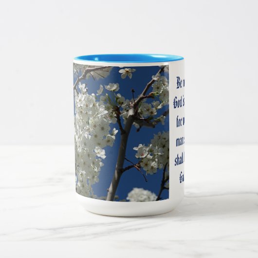 Mok voor scripts (Center)