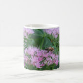 Mok voor scripts inspireren... (Center)