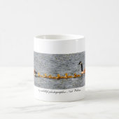 Mok voor watervogels (Center)