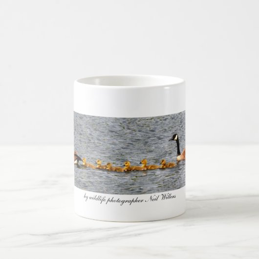 Mok voor watervogels (Center)