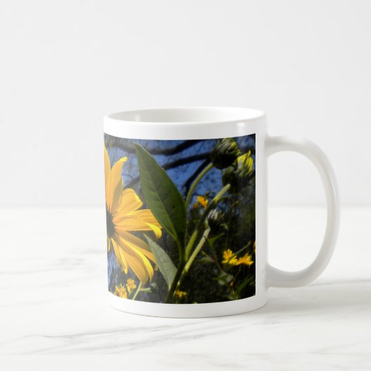 Mok voor zonnebloemen in Sky (Rechts)
