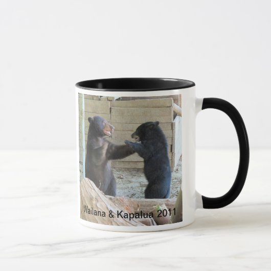 Mok Wailana & Kapalua 2011 (Rechts)