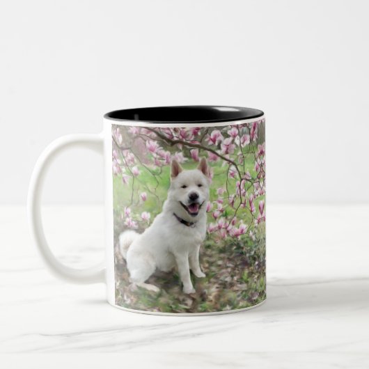 Mok - White Akita (Links)