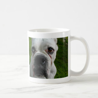 Mok White Boxer