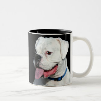 Mok White Boxer