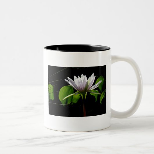 Mok, White Water Lily with Light Tweekleurige Koffiemok (Rechts)