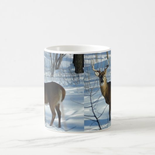 Mok Whitetail Deer (Winter) (Center)