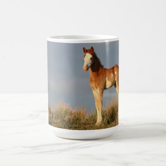 Mok Wild Mustang Colt Beverage (Center)