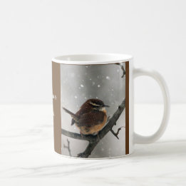 Mok wintervogels: Carolina Wren