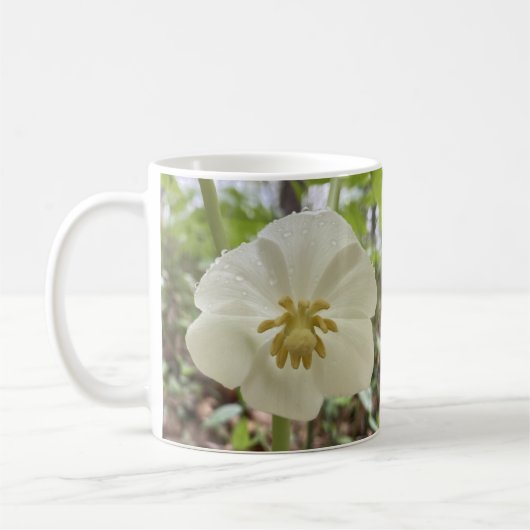 Mok witte lentevloer (Links)