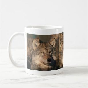 mok wolf