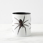 Mok Wolf Spider (Midden)