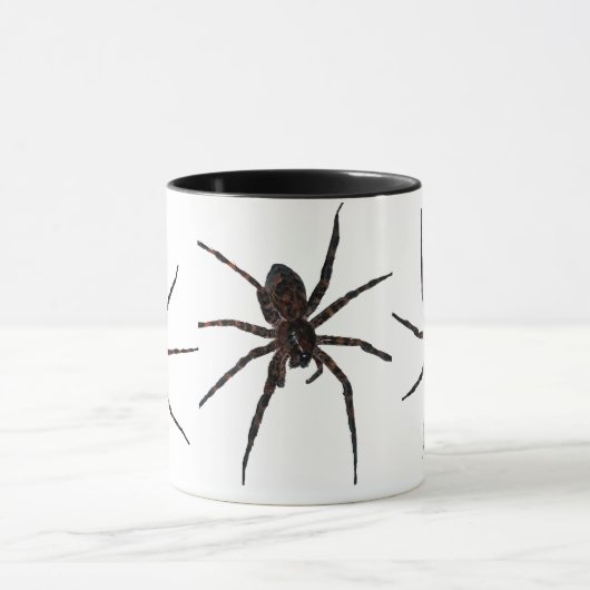 Mok Wolf Spider (Midden)