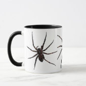 Mok Wolf Spider (Links)