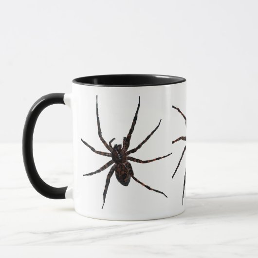 Mok Wolf Spider (Links)