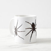 Mok Wolf Spider (Voorkant links)