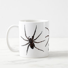 Mok Wolf Spider
