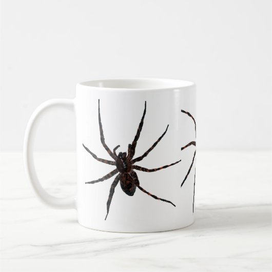 Mok Wolf Spider (Links)