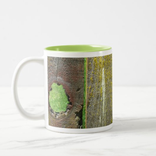 Mok - Wooden Fence with Moss (Links)