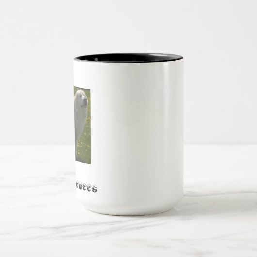 Mok XL van de linkshandige Pyreneeën (Midden)