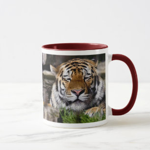 Mok Zambar Tiger