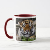 Mok Zambar Tiger (Links)