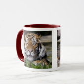 Mok Zambar Tiger (Voorkant links)