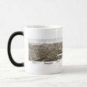 Mok Zelienopel Butler County (Links)