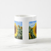 Mok zonnebloemen (Center)