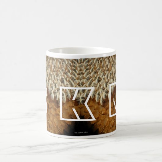 Mok - Zonnebloempitten met Initialen (Center)