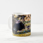 Mok zwarte eekhoorn (Voorkant links)