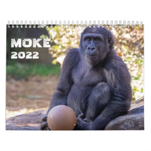 Moke 2022 Agenda Kalender