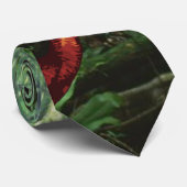 Mokele-mbembe-Stropdas Stropdas (Opgerold)