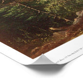 Mokelumne Hill, Calaveras County, CA. (0133A) Poster (Hoek)