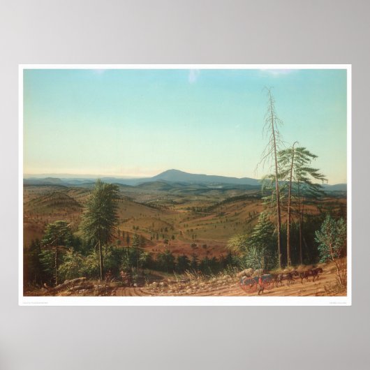 Mokelumne Hill, Calaveras County, CA. (0133A) Poster (Voorkant)