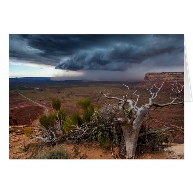 Moki Dugway Thunderstorm - Southern Utah (Voorkant Horizontaal)