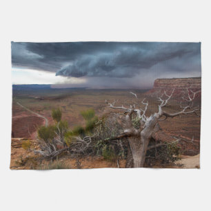 Moki Dugway Thunderstorm - Southern Utah Theedoek