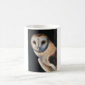 Mokken Barn Owl (Center)