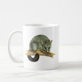 Mokken - cooroypossum (Links)