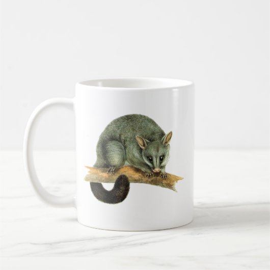 Mokken - cooroypossum (Links)