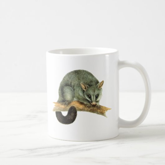 Mokken - cooroypossum (Rechts)