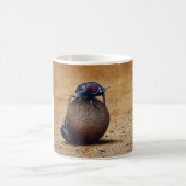 Mokken Dung Beatles (Center)