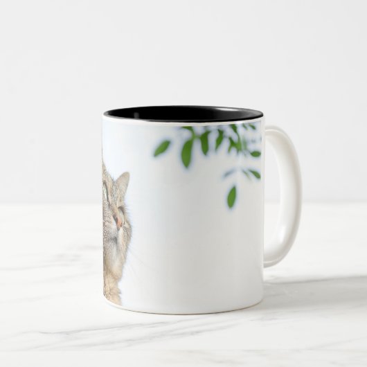 Mokken en bekers (Voorkant rechts)