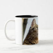 Mokken en bekers (Links)